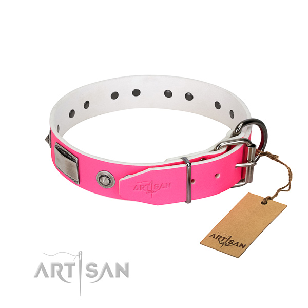 Unique dog collar of natural leather with decorations