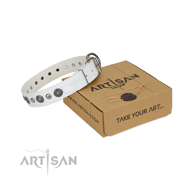 Full grain natural leather collar with corrosion proof D-ring for your stylish canine