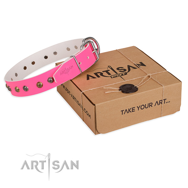 Stylish walking dog collar with Top notch rust-proof adornments