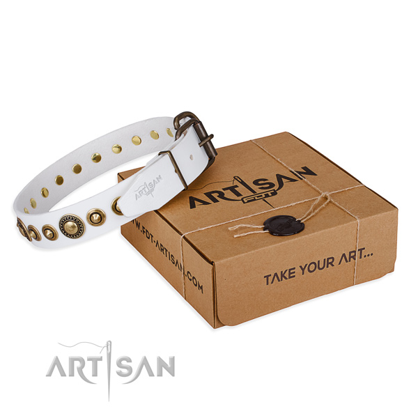 Durable full grain natural leather dog collar handmade for fancy walking