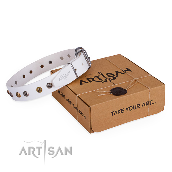 Stylish walking dog collar with Significant corrosion proof adornments