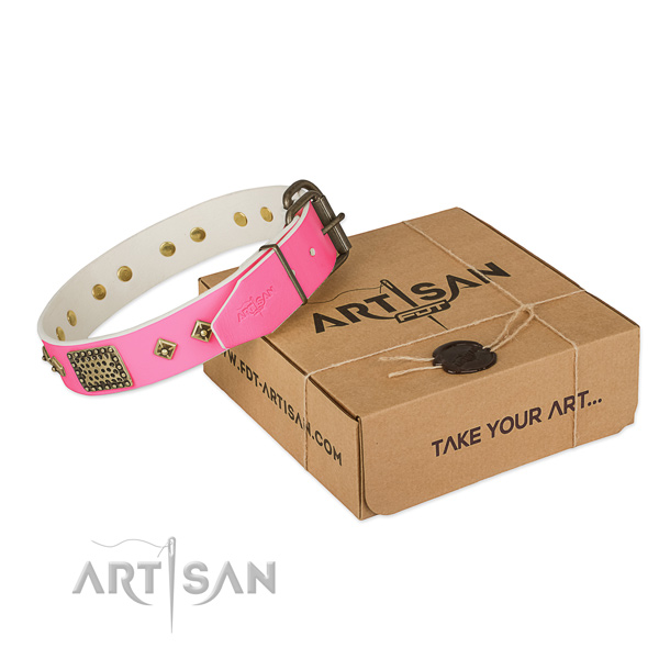 Durable embellishments on dog collar for walking