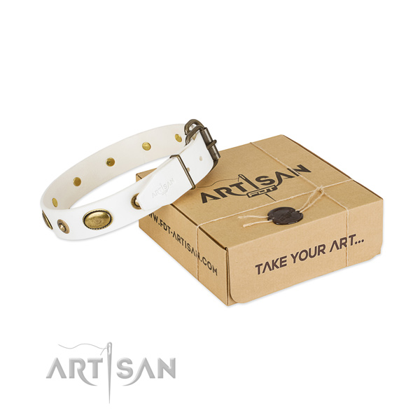 Convenient full grain natural leather collar for your stylish canine
