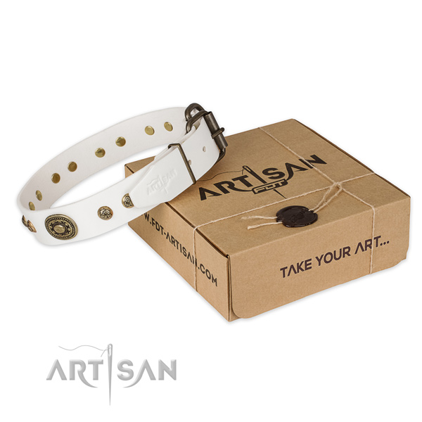 Durable D-ring on leather dog collar for stylish walking