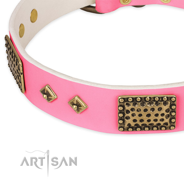 Reliable adornments on leather dog collar for your doggie