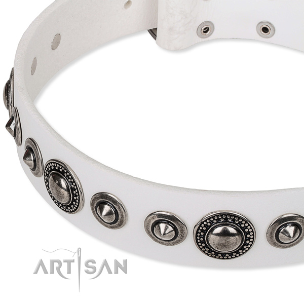 Stylish walking decorated dog collar of strong full grain natural leather