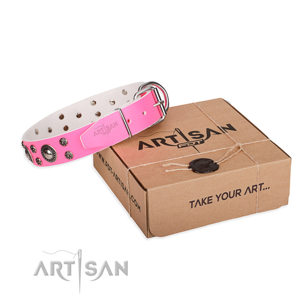 Everyday use dog collar of strong full grain natural leather with decorations
