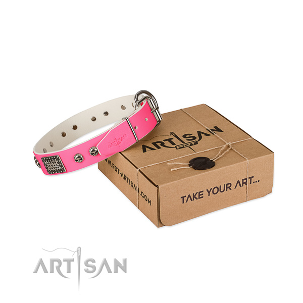 Corrosion resistant embellishments on dog collar for everyday walking