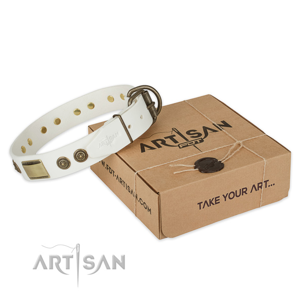 Rust-proof hardware on full grain natural leather dog collar for walking