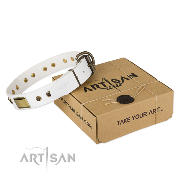 Designer genuine leather collar for your attractive canine