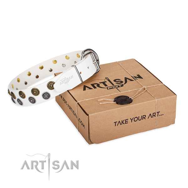 Easy wearing dog collar of strong full grain natural leather with decorations