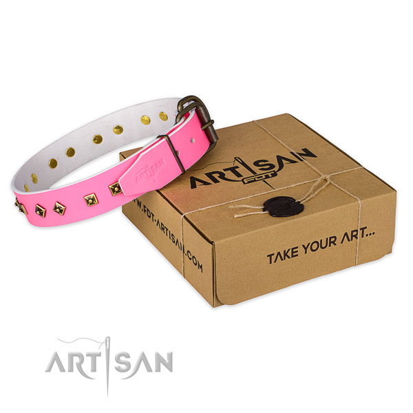 Strong fittings on leather dog collar for walking