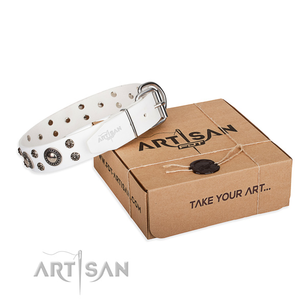 Everyday walking dog collar of top notch genuine leather with decorations