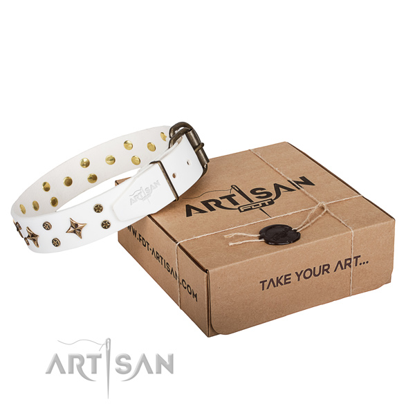 Daily use dog collar of finest quality full grain natural leather with studs