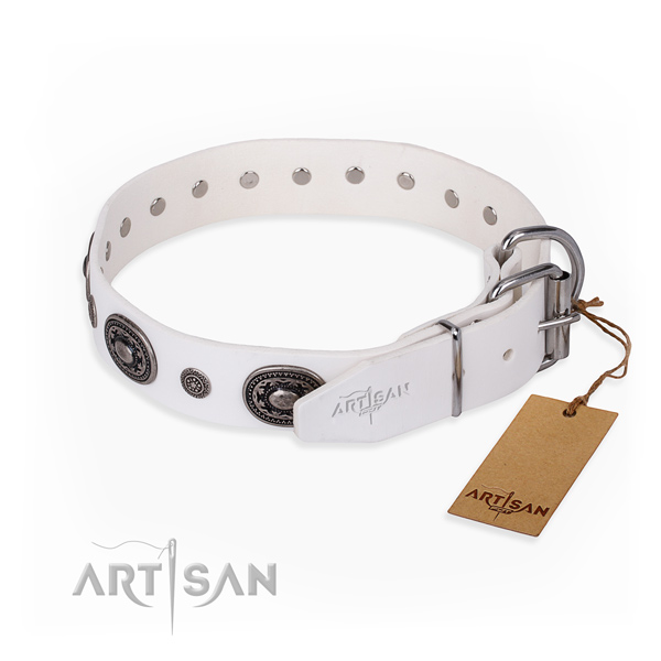 Soft full grain genuine leather dog collar created for stylish walking