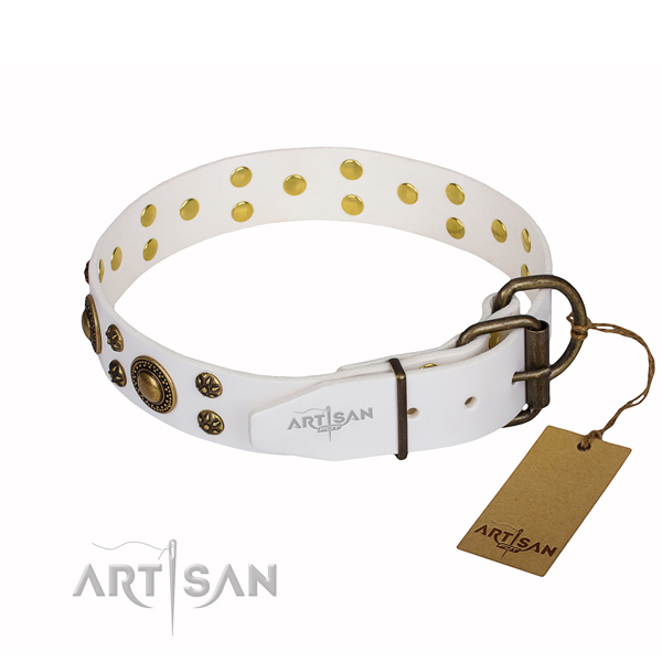 Daily use decorated dog collar of high quality full grain natural leather