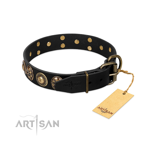 Corrosion proof fittings on everyday walking dog collar
