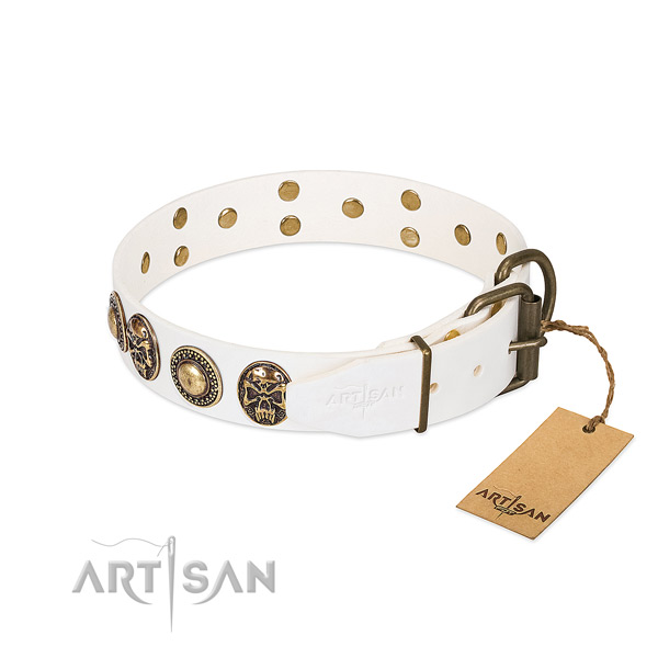 Strong studs on everyday walking dog collar
