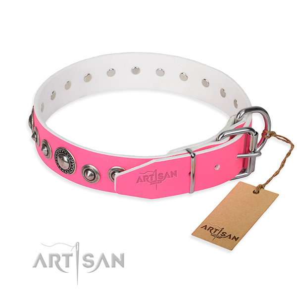 Full grain leather dog collar made of reliable material with rust-proof studs