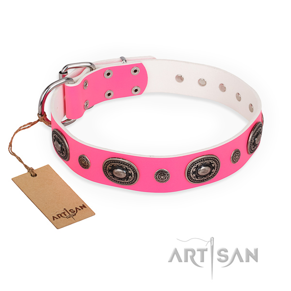 Best quality genuine leather dog collar handcrafted for walking