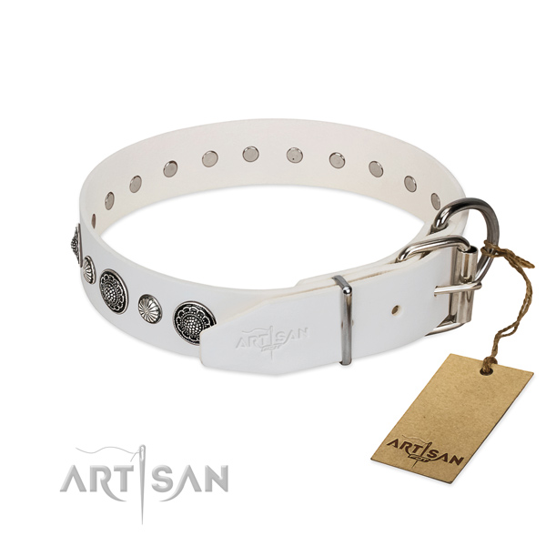 Quality full grain genuine leather dog collar with corrosion resistant fittings