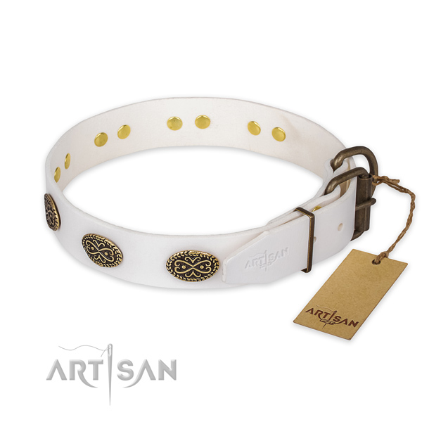 Durable hardware on genuine leather collar for basic training your four-legged friend