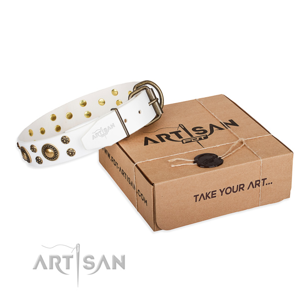 Basic training dog collar of best quality natural leather with studs
