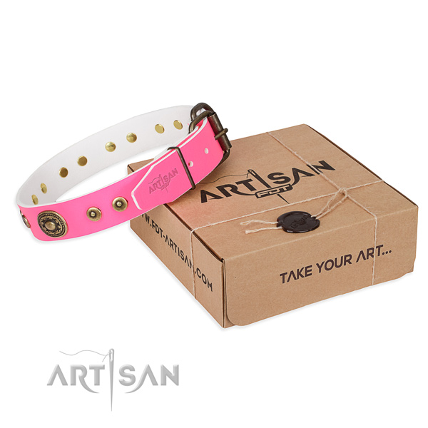 Full grain natural leather dog collar made of top notch material with corrosion proof hardware