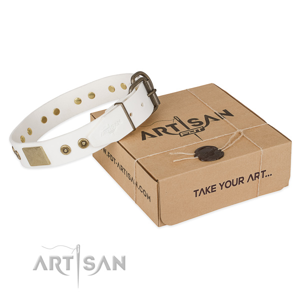 Corrosion proof buckle on full grain natural leather dog collar for comfortable wearing