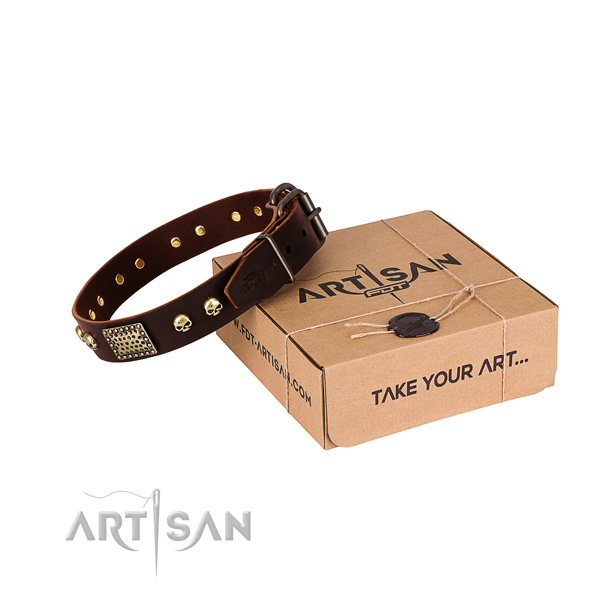 Rust-proof D-ring on dog collar for easy wearing