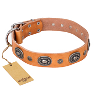 "Twinkle Twinkle" FDT Artisan Incredible Studded Tan Leather Black Russian Terrier Collar