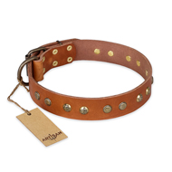"Spring Flavor" FDT Artisan Adorned Leather Black Russian Terrier Collar with Old Bronze-Plated Engraved Studs