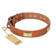 "Enchanting Spectacle" FDT Artisan Tan Leather Black Russian Terrier Collar with Old Bronze Look Plates and Round Studs