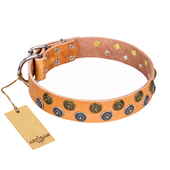 "Precious Sparkle" FDT Artisan Handcrafted Tan Leather Black Russian Terrier Collar