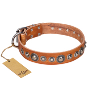 "Daily Chic" FDT Artisan Tan Leather Black Russian Terrier Collar with Decorations