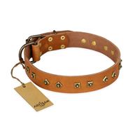 "Autumn Story" FDT Artisan Leather Black Russian Terrier Collar with Old Bronze Look Studs