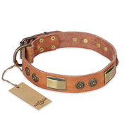 "Lost Desert" FDT Artisan Leather Black Russian Terrier Collar with Brass Decorations