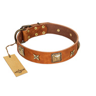 "Celtic Tunes" FDT Artisan Tan Leather Black Russian Terrier Collar Adorned with Stars and Squares