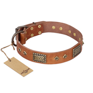"Catchy Look" FDT Artisan Decorated Tan Leather Black Russian Terrier Collar