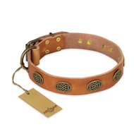 "Magic Amulet" FDT Artisan Tan Leather Black Russian Terrier Collar with Oval Studs