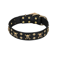 "Jolly Rojer" FDT Artisan Leather Black Russian Terrier Collar with Pirate Skulls and Studs - 1 1/2 inch (40 mm) wide