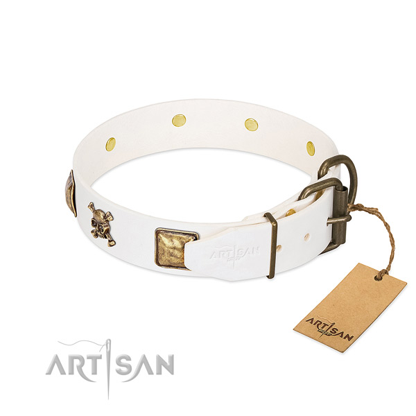 Everyday use leather dog collar with incredible decorations