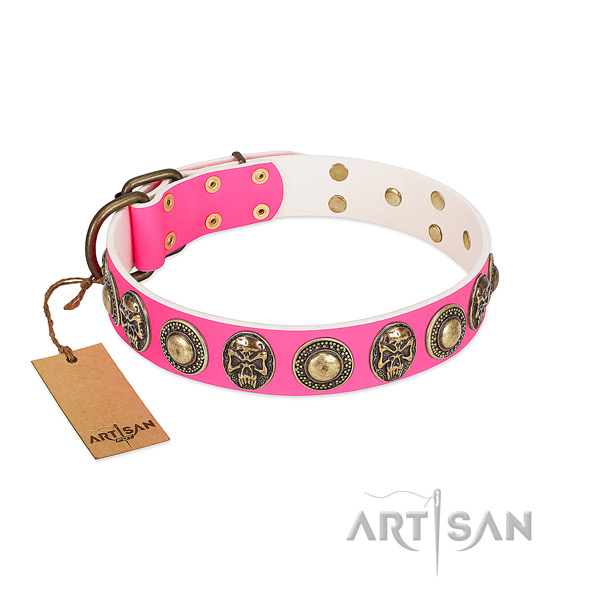 Easy adjustable full grain genuine leather dog collar for daily walking your four-legged friend