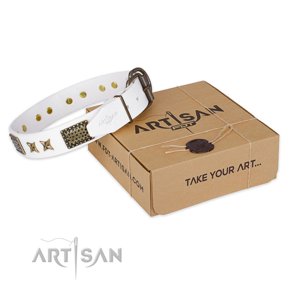 Corrosion proof fittings on full grain leather collar for your lovely pet