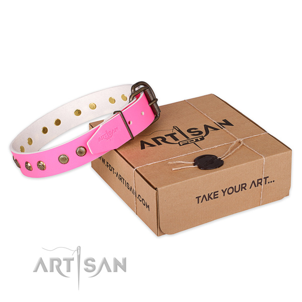 Corrosion resistant D-ring on genuine leather collar for your impressive pet