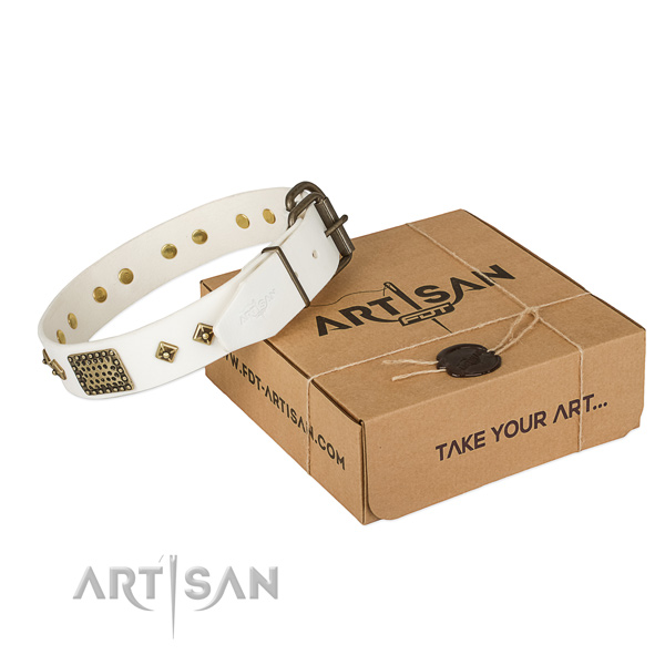 Stunning leather collar for your beautiful pet
