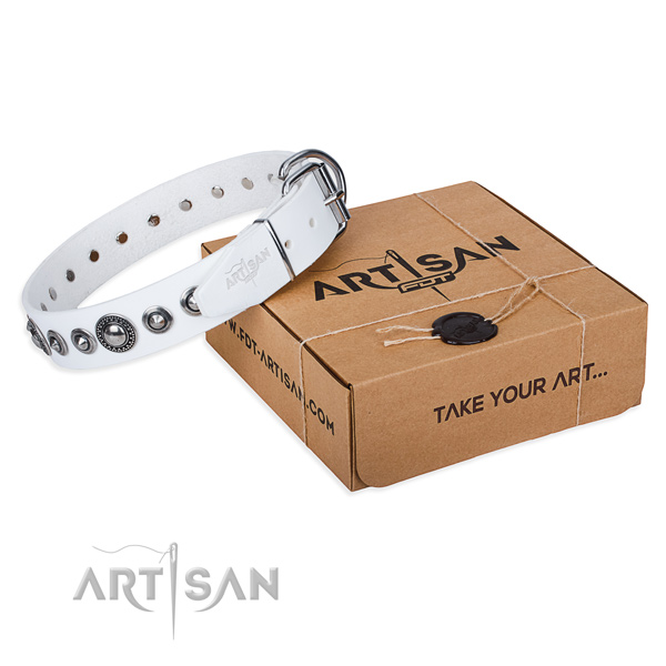 Leather dog collar made of high quality material with strong hardware