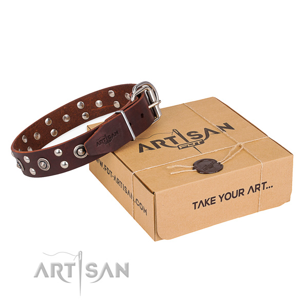 Handy use dog collar with Extraordinary rust resistant decorations
