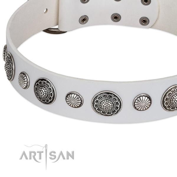 Full grain leather collar with strong fittings for your lovely pet