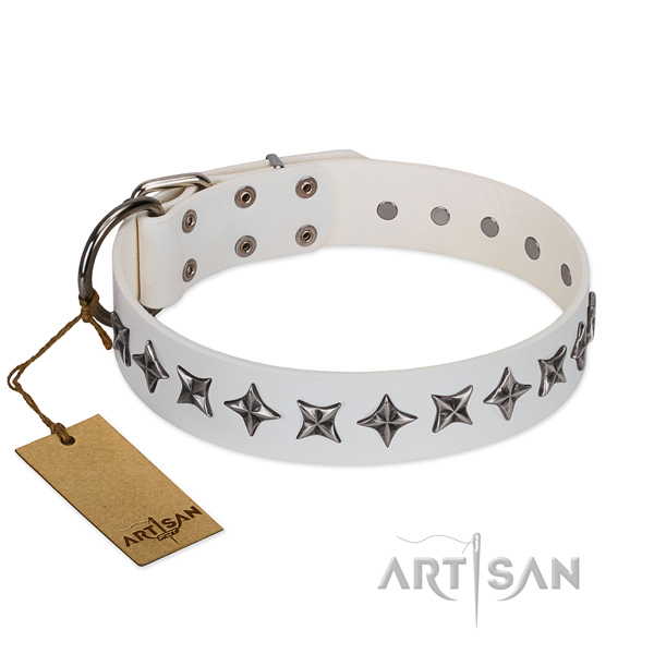 Stylish walking dog collar of strong genuine leather with adornments
